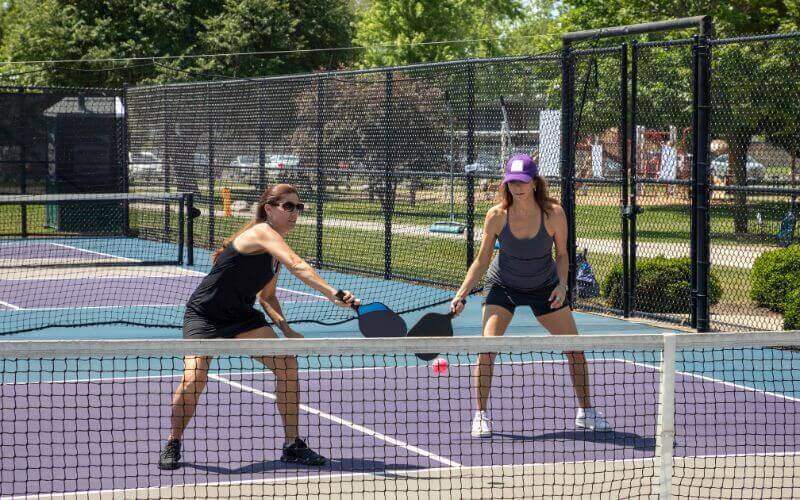 Major League Pickleball vs. Pickleball Pro