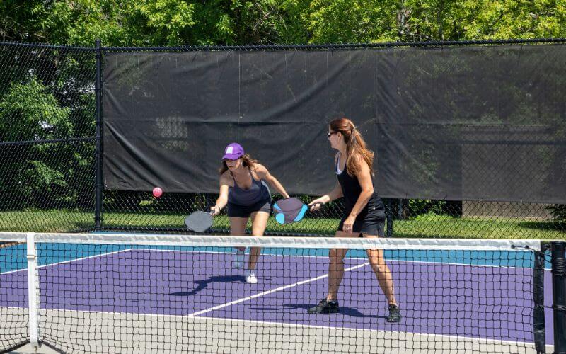 Professional Pickleball Leagues